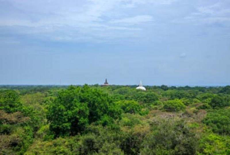 Demala Maha Seya | Gateway to East